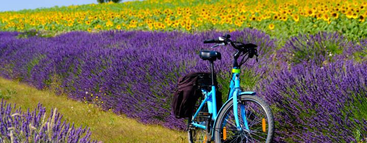 A couple cycling holiday <strong>in the Alpilles and Lubéron</strong>